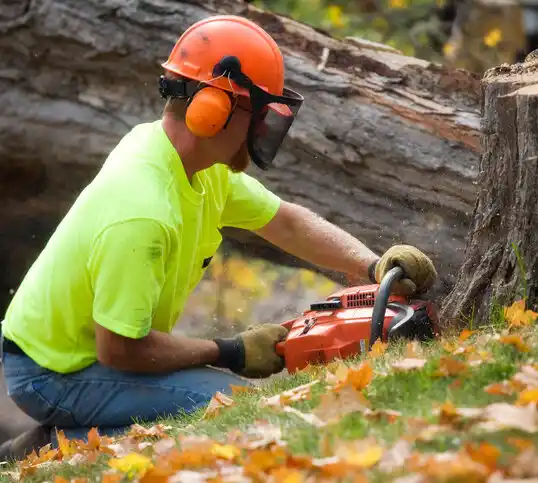 tree services Ackerman